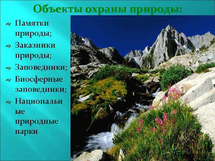 Объекты охраны природы: Памятки природы; Заказники природы; Заповедники; Биосферные заповедники; Национальн ые природные парки