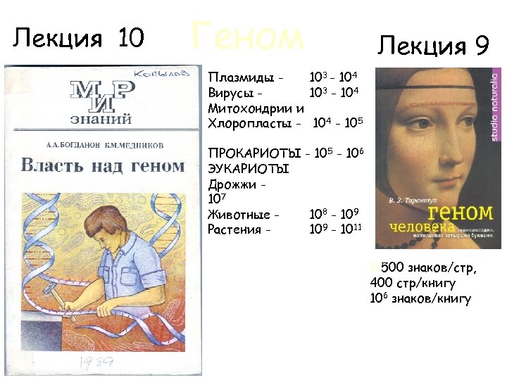 Лекция 10 Геном Лекция 9 Плазмиды 103 - 104 Вирусы 103 - 104 Митохондрии