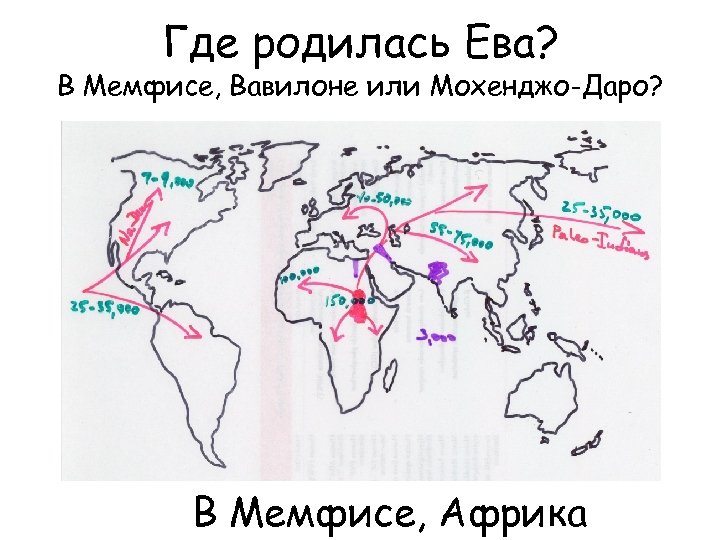 Где родилась Ева? В Мемфисе, Вавилоне или Мохенджо-Даро? В Мемфисе, Африка 