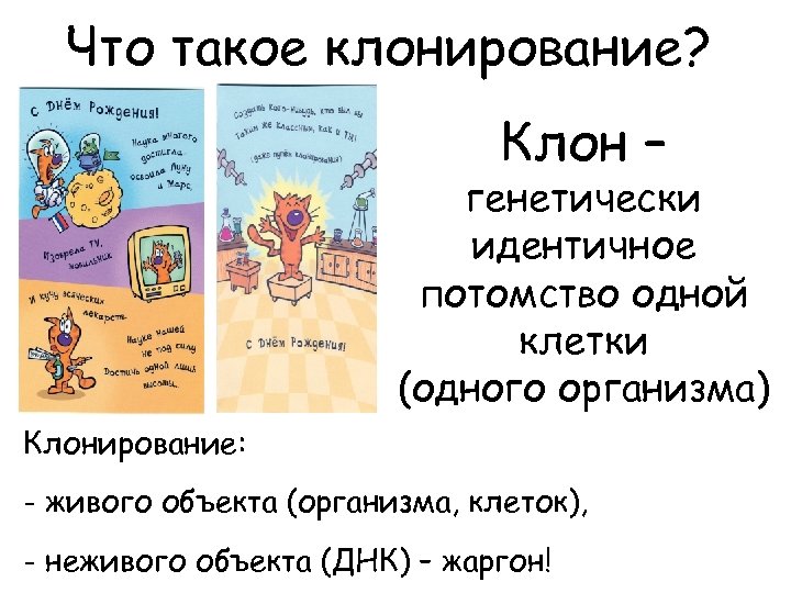 Что такое клонирование? Клон – генетически идентичное потомство одной клетки (одного организма) Клонирование: -