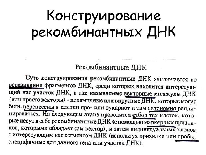 Конструирование рекомбинантных ДНК 