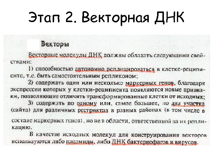 Этап 2. Векторная ДНК 