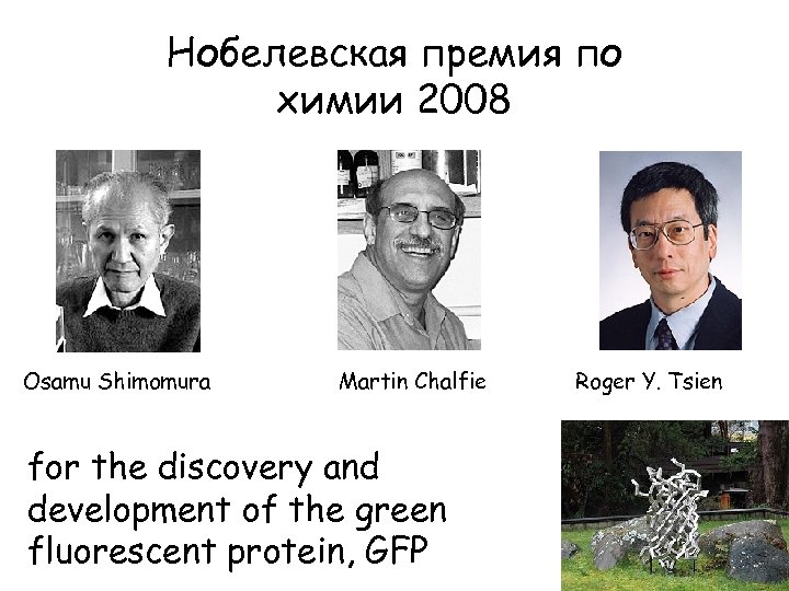 Нобелевская премия по химии 2008 Osamu Shimomura Martin Chalfie for the discovery and development