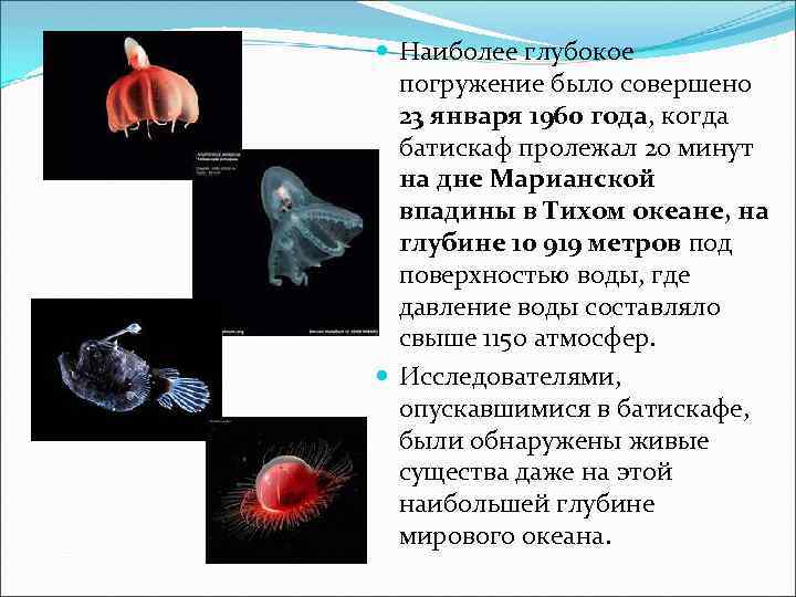  Наиболее глубокое погружение было совершено 23 января 1960 года, когда батискаф пролежал 20
