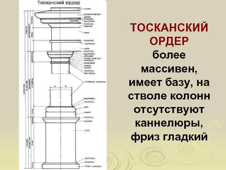 ТОСКАНСКИЙ ОРДЕР более массивен, имеет базу, на стволе колонн отсутствуют каннелюры, фриз гладкий 