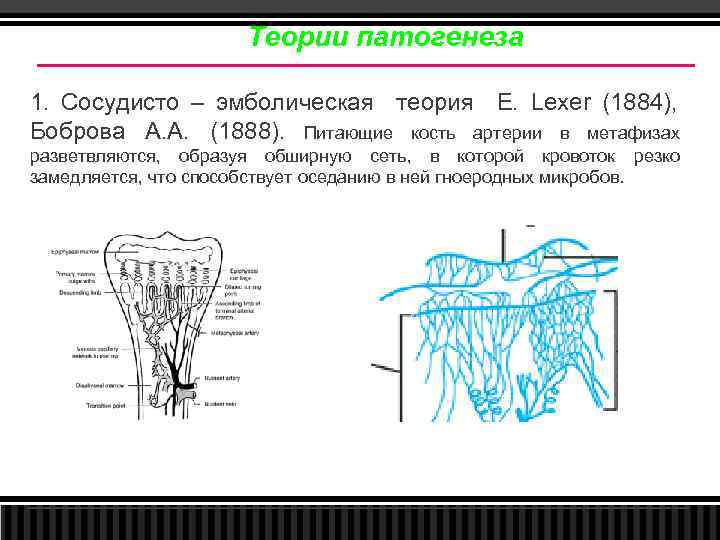Теории патогенеза 1. Сосудисто – эмболическая теория E. Lexer (1884), Боброва А. А. (1888).