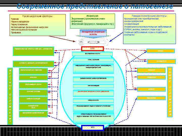 Современное представление о патогенезе Провоцирующие факторы: Травма Переохлаждение Переутомление Интенсивные физические нагрузки Неполноценное питание