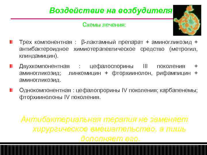 Воздействие на возбудителя Схемы лечения: Трех компонентная : β лактамный препарат + аминогликозид +