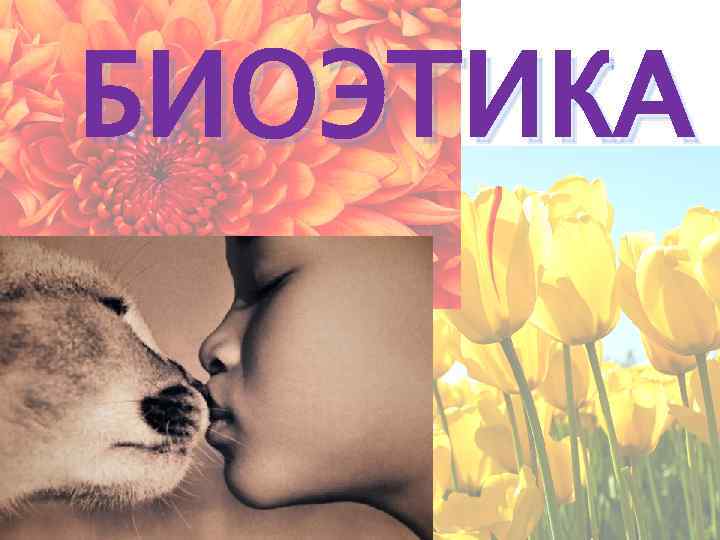 БИОЭТИКА 