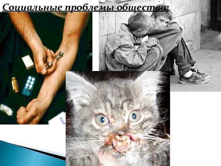 Социальные проблемы общества: 