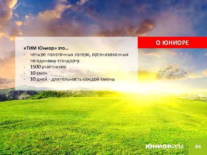  «ТИМ Юниор» это… - четыре палаточных лагеря, организованных по единому стандарту - 1500