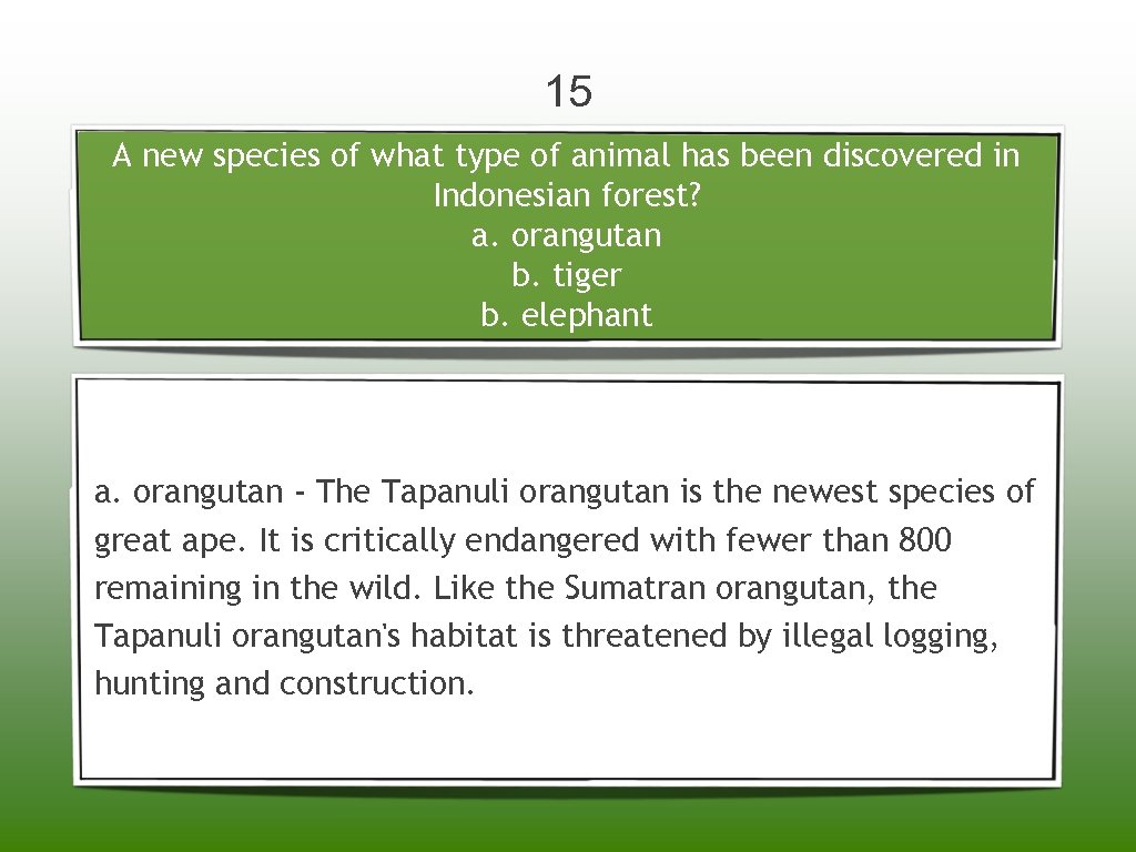 15 A new species of what type of animal has been discovered in Indonesian