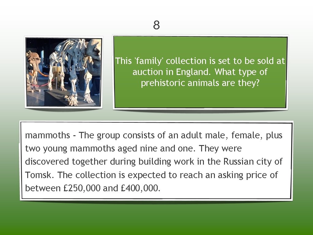 8 This 'family' collection is set to be sold at auction in England. What