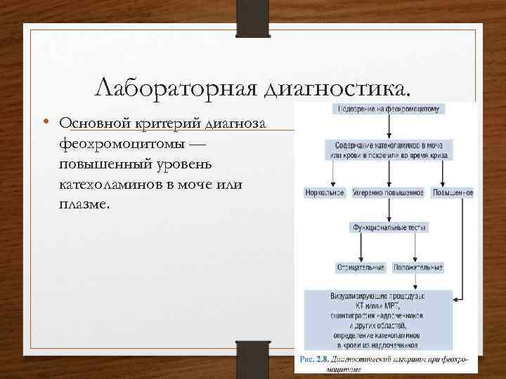 Лабораторная диагностика. • Основной критерий диагноза феохромоцитомы — повышенный уровень катехоламинов в моче или