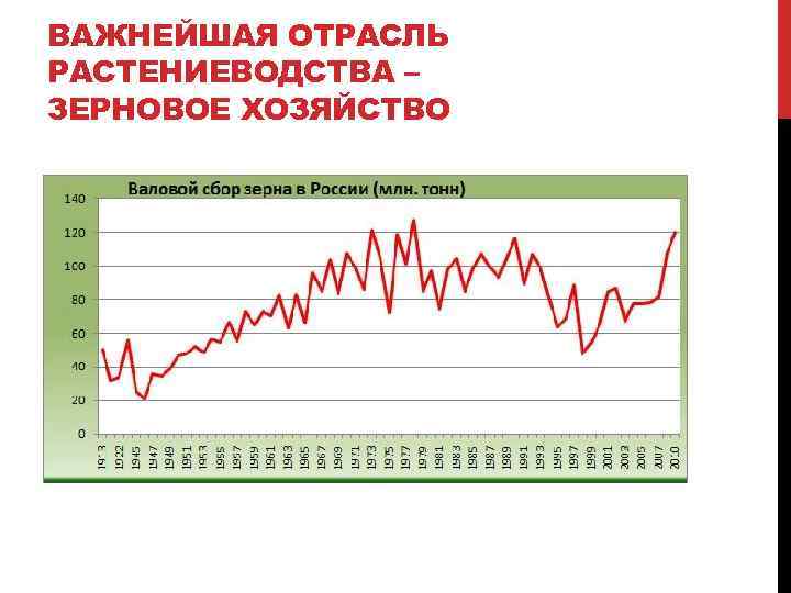 ВАЖНЕЙШАЯ ОТРАСЛЬ РАСТЕНИЕВОДСТВА – ЗЕРНОВОЕ ХОЗЯЙСТВО 