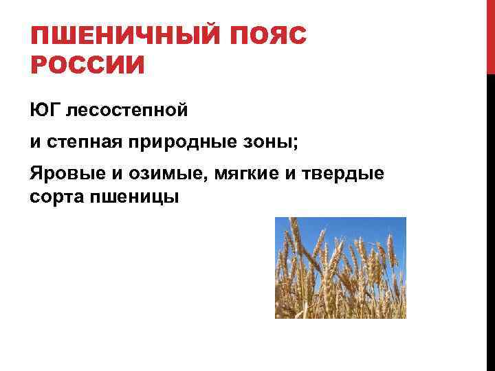 ПШЕНИЧНЫЙ ПОЯС РОССИИ ЮГ лесостепной и степная природные зоны; Яровые и озимые, мягкие и