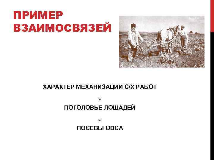 ПРИМЕР ВЗАИМОСВЯЗЕЙ ХАРАКТЕР МЕХАНИЗАЦИИ С/Х РАБОТ ↓ ПОГОЛОВЬЕ ЛОШАДЕЙ ↓ ПОСЕВЫ ОВСА 