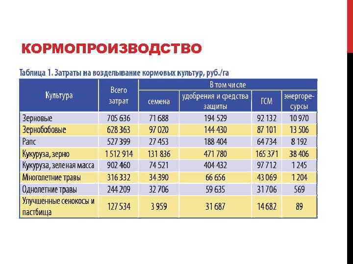 Бизнес план по выращиванию рапса