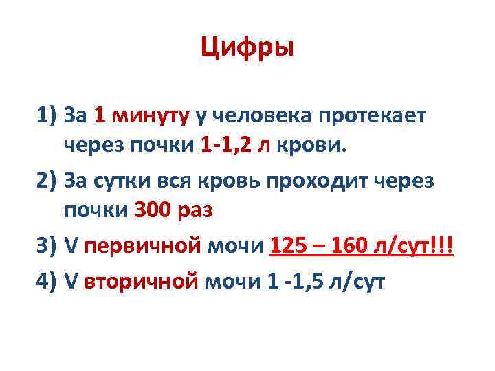 Цифры 1) За 1 минуту у человека протекает через почки 1 -1, 2 л