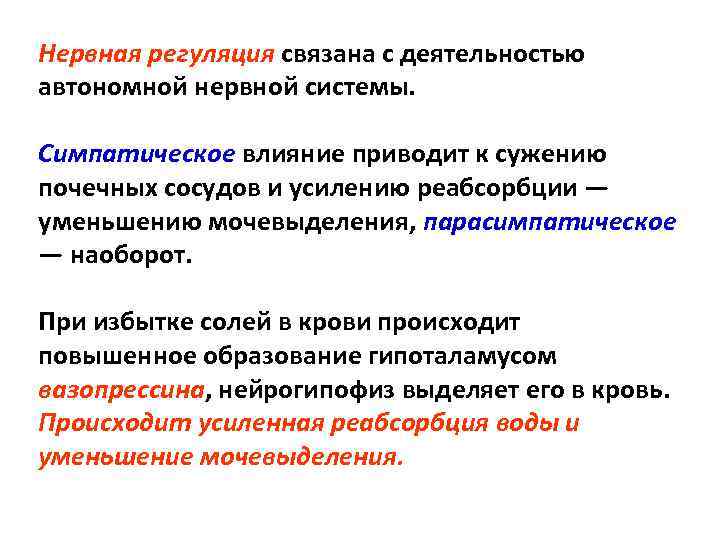 Нервная регуляция связана с деятельностью автономной нервной системы. Симпатическое влияние приводит к сужению почечных