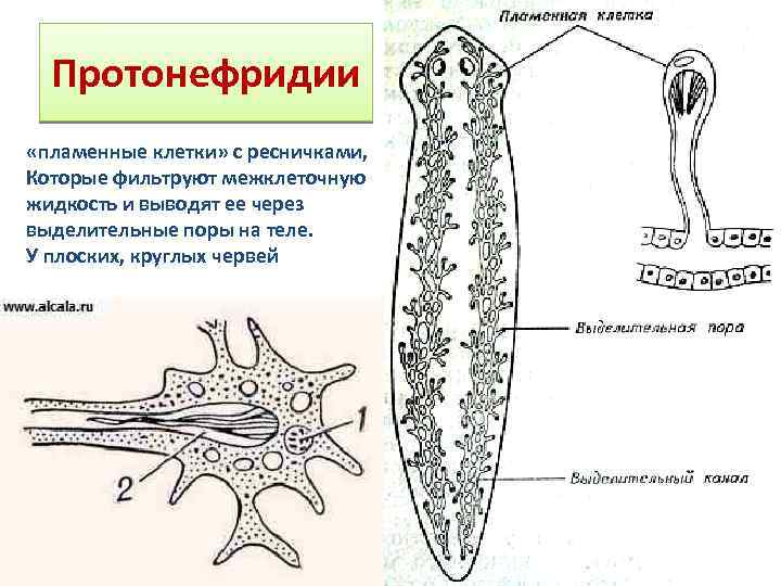 Система впрыска мочевины