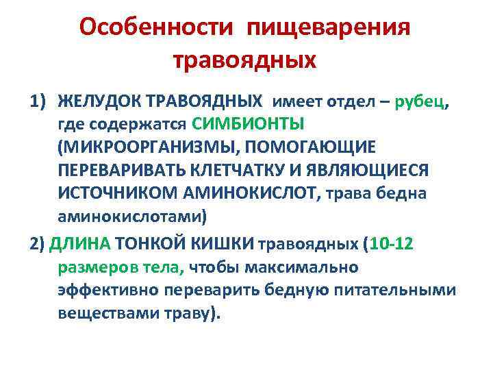 Особенности пищеварения травоядных 1) ЖЕЛУДОК ТРАВОЯДНЫХ имеет отдел – рубец, где содержатся СИМБИОНТЫ (МИКРООРГАНИЗМЫ,