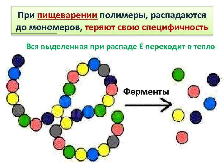 Полимеры распадаются на мономеры. Полимеры и мономеры таблица биология. Мономеры полимеры биополимеры. Расщепляет биополимеры до мономеров