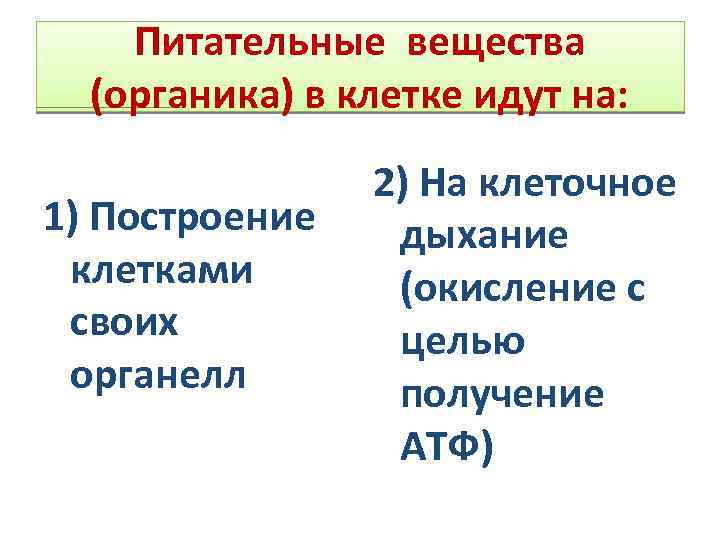 Питательные вещества (органика) в клетке идут на: 1) Построение клетками своих органелл 2) На