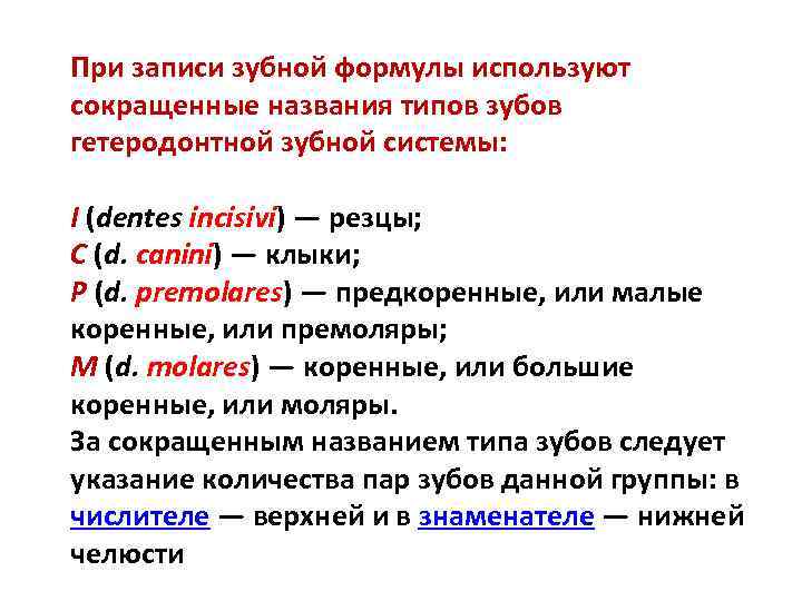 При записи зубной формулы используют сокращенные названия типов зубов гетеродонтной зубной системы: I (dentes
