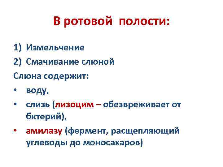 В ротовой полости: 1) Измельчение 2) Смачивание слюной Слюна содержит: • воду, • слизь