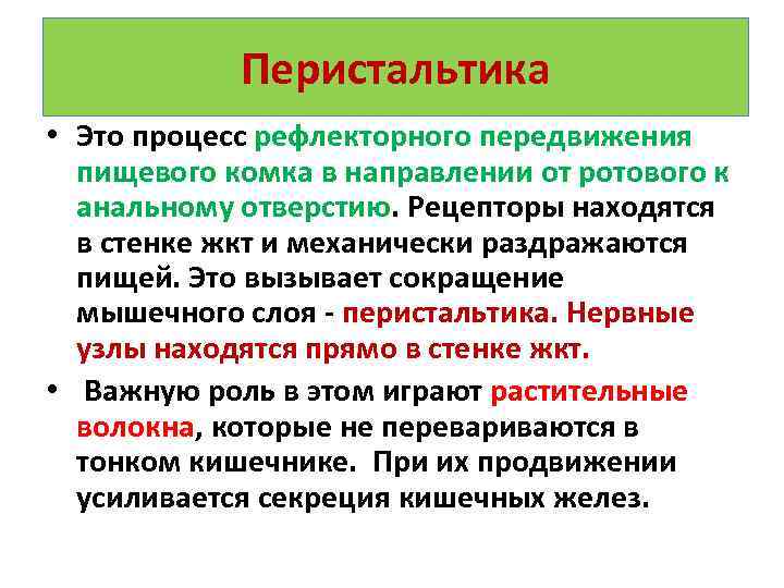 Перистальтика • Это процесс рефлекторного передвижения пищевого комка в направлении от ротового к анальному