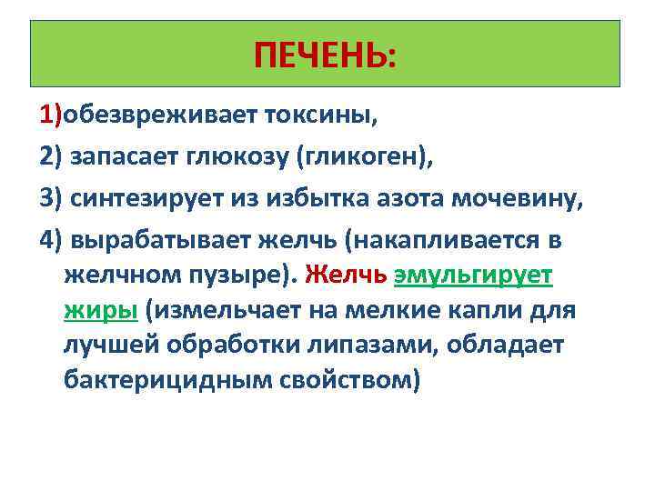 ПЕЧЕНЬ: 1)обезвреживает токсины, 2) запасает глюкозу (гликоген), 3) синтезирует из избытка азота мочевину, 4)