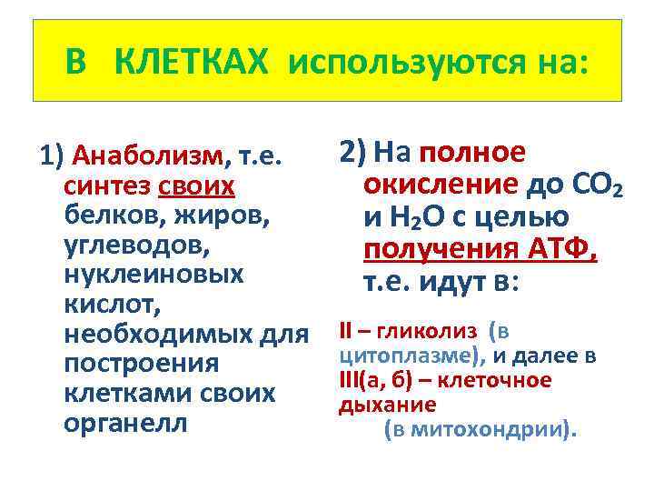 В КЛЕТКАХ используются на: 1) Анаболизм, т. е. синтез своих белков, жиров, углеводов, нуклеиновых