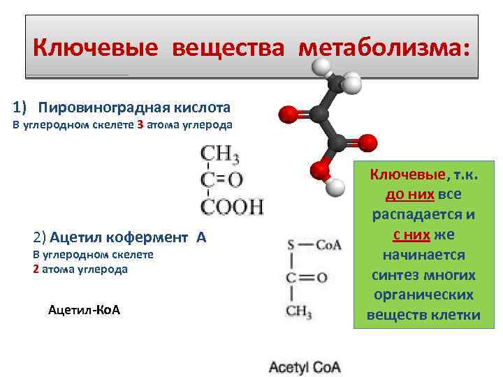 Структура органического углеродного скелета