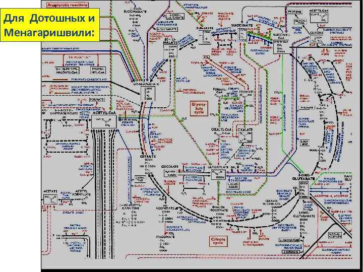 Для Дотошных и Менагаришвили: 