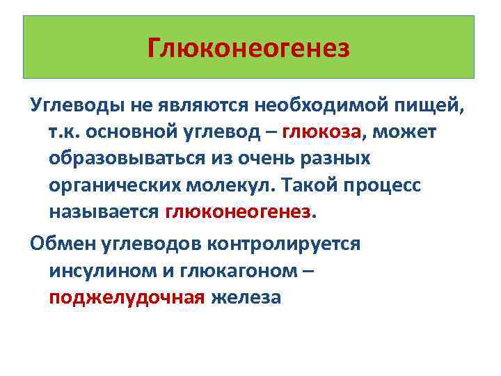Глюконеогенез Углеводы не являются необходимой пищей, т. к. основной углевод – глюкоза, может образовываться