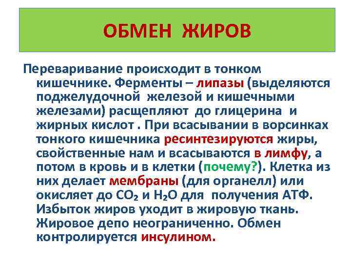 Ферменты жиров. Ферменты тонкой кишки расщепляющие жиры. Катаболизм глицерина. Обмен жиров переваривание. Переваривание жиров в тонком кишечнике.