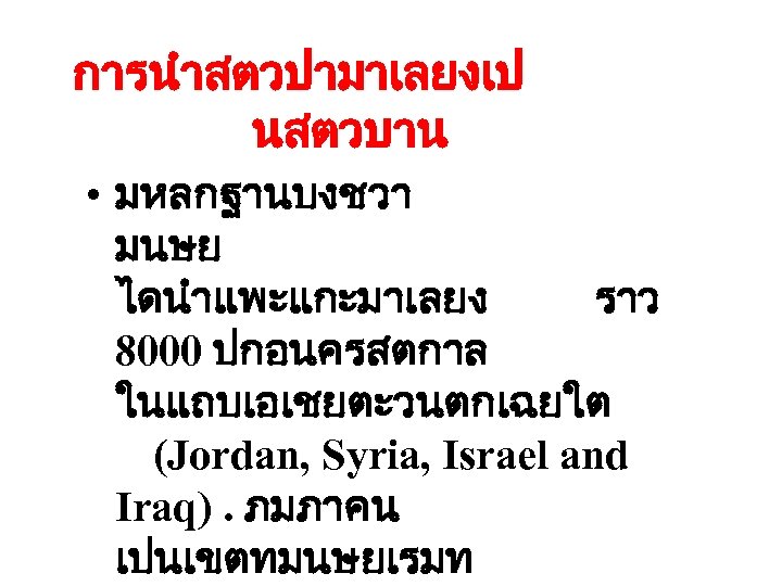 การนำสตวปามาเลยงเป นสตวบาน • มหลกฐานบงชวา มนษย ไดนำแพะแกะมาเลยง ราว 8000 ปกอนครสตกาล ในแถบเอเชยตะวนตกเฉยใต (Jordan, Syria, Israel and