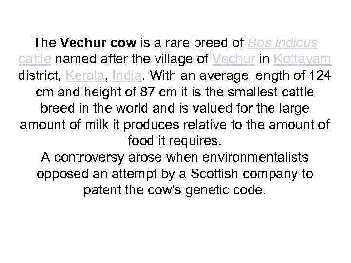 The Vechur cow is a rare breed of Bos indicus cattle named after the