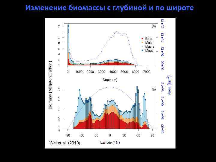 Изменение биомассы с глубиной и по широте Wei et al. (2010) 