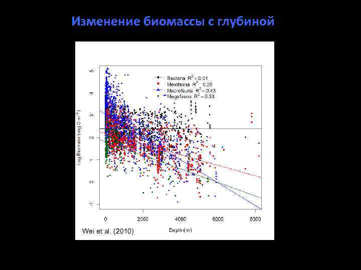 Изменение биомассы с глубиной • Bacterial constancy • Exponential declines for 3 larger size