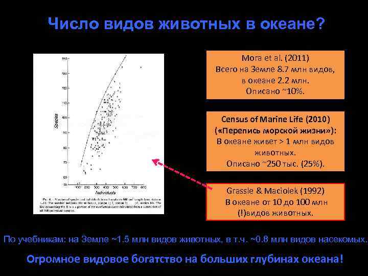 Число видов. Deep-sea species richness… океане? Grassle, Maciolek (1992): животных в Динамика описания новых