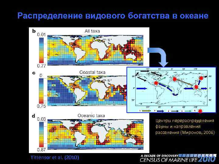 Normalized richness Распределение видового богатства в океане 1 2 3 4 5 Основные центры
