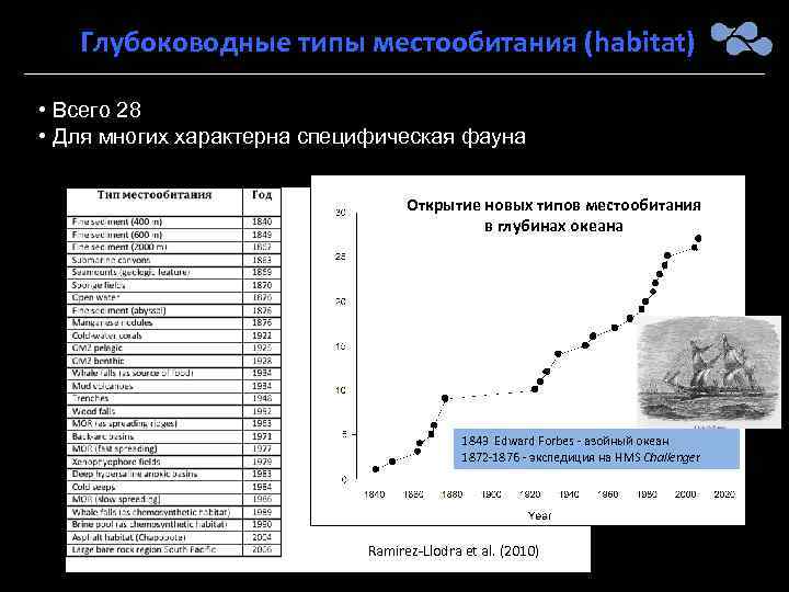 Глубоководные типы местообитания (habitat) • Всего 28 • Для многих характерна специфическая фауна Открытие