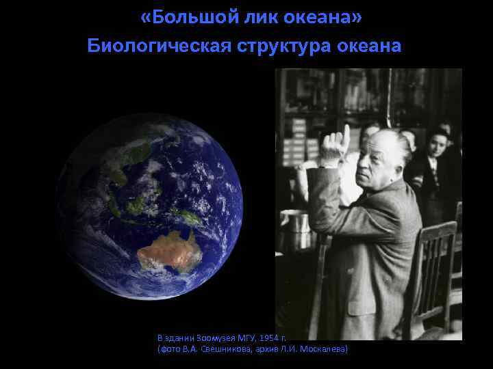  «Большой лик океана» Биологическая структура океана I II В здании Зоомузея МГУ, 1954