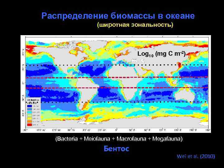 Зональность мирового океана