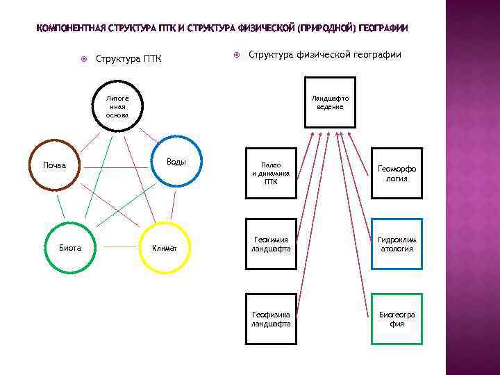 Составьте схему состава природно территориального комплекса вашей местности