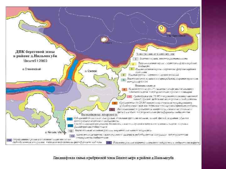 Ландшафтная схема прибрежной зоны Белого моря в районе д. Нильмагуба 