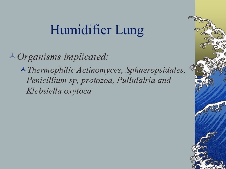 Humidifier Lung ©Organisms implicated: ©Thermophilic Actinomyces, Sphaeropsidales, Penicillium sp, protozoa, Pullulalria and Klebsiella oxytoca