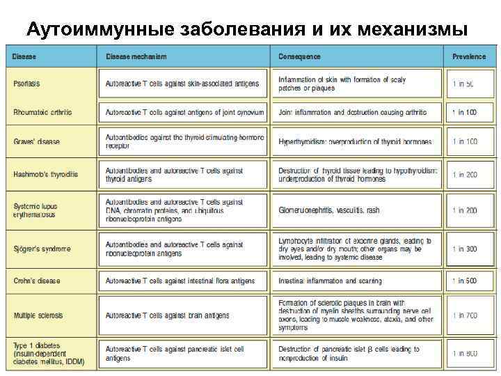 Аутоиммунные заболевания и их механизмы 